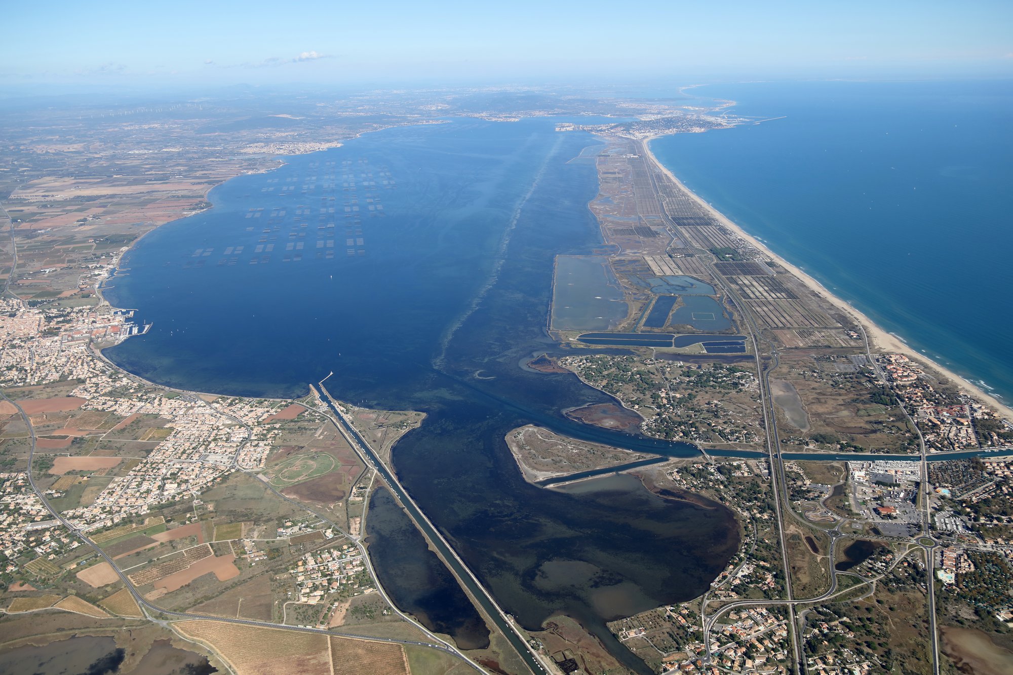 Thau Partie Prenante Du Projet Littoral Pour La Croissance Bleue Et