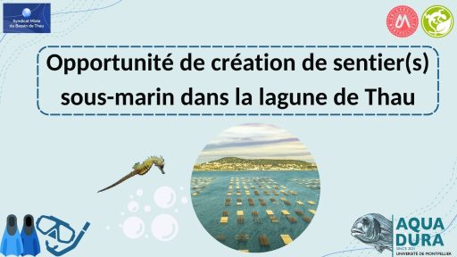 etudiant et creation sentier sous marin