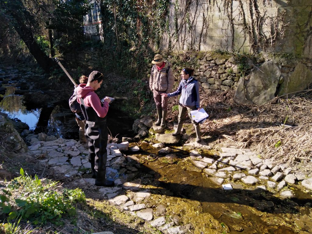 travaux cours deau et riviere smbt