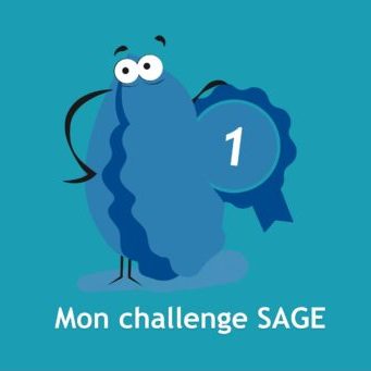 challenge-sage